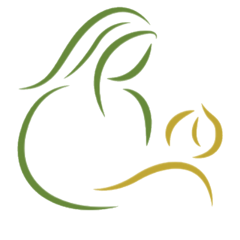 Logotipo ROZILDA A. FERREIRA LTDA