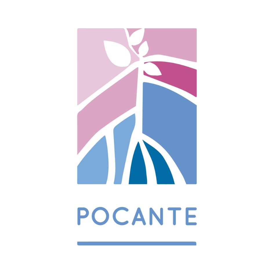 Logotipo ASSOCIACAO REDE POCANTE