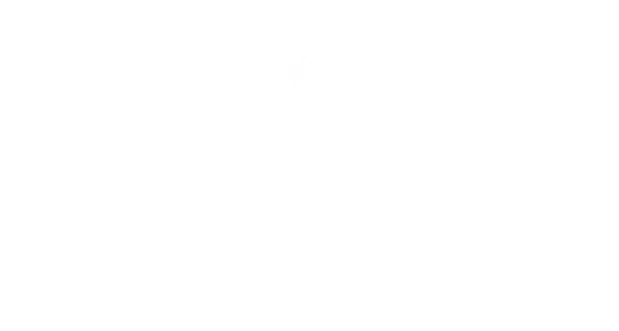 Logotipo CLINICA LIBERALINO NUTRICAO LTDA