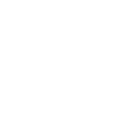 Logotipo LUCAS PINTO DOS SANTOS 10738060739