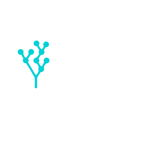 Logotipo IDEAS CAPITAL