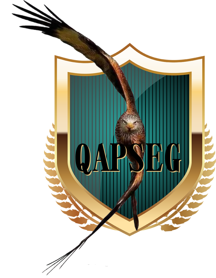 Logotipo QAPSEG CONSULTORIA
