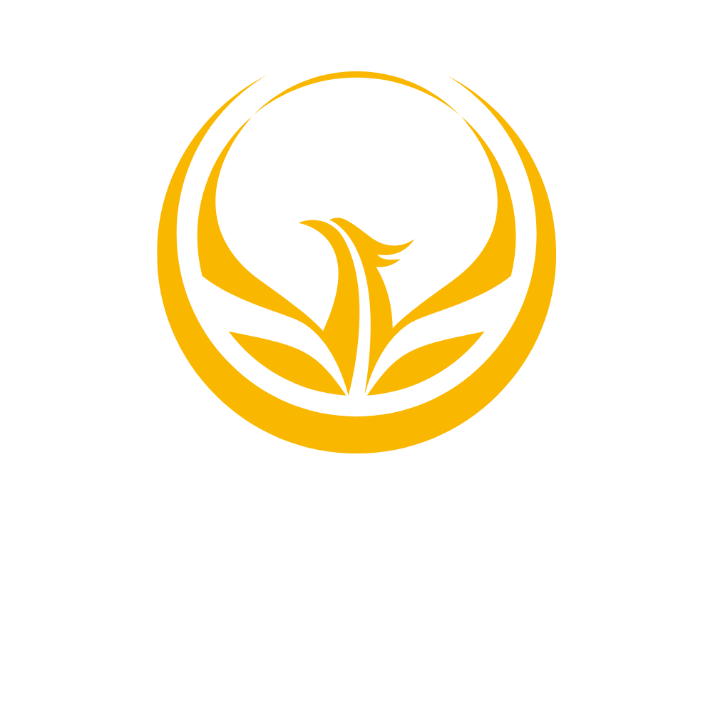 Logotipo APOLO AUGUSTO EMPREENDIMENTOS LTDA