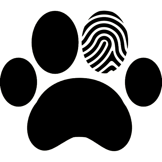 Logotipo MISSEN&TREMORI LTDA