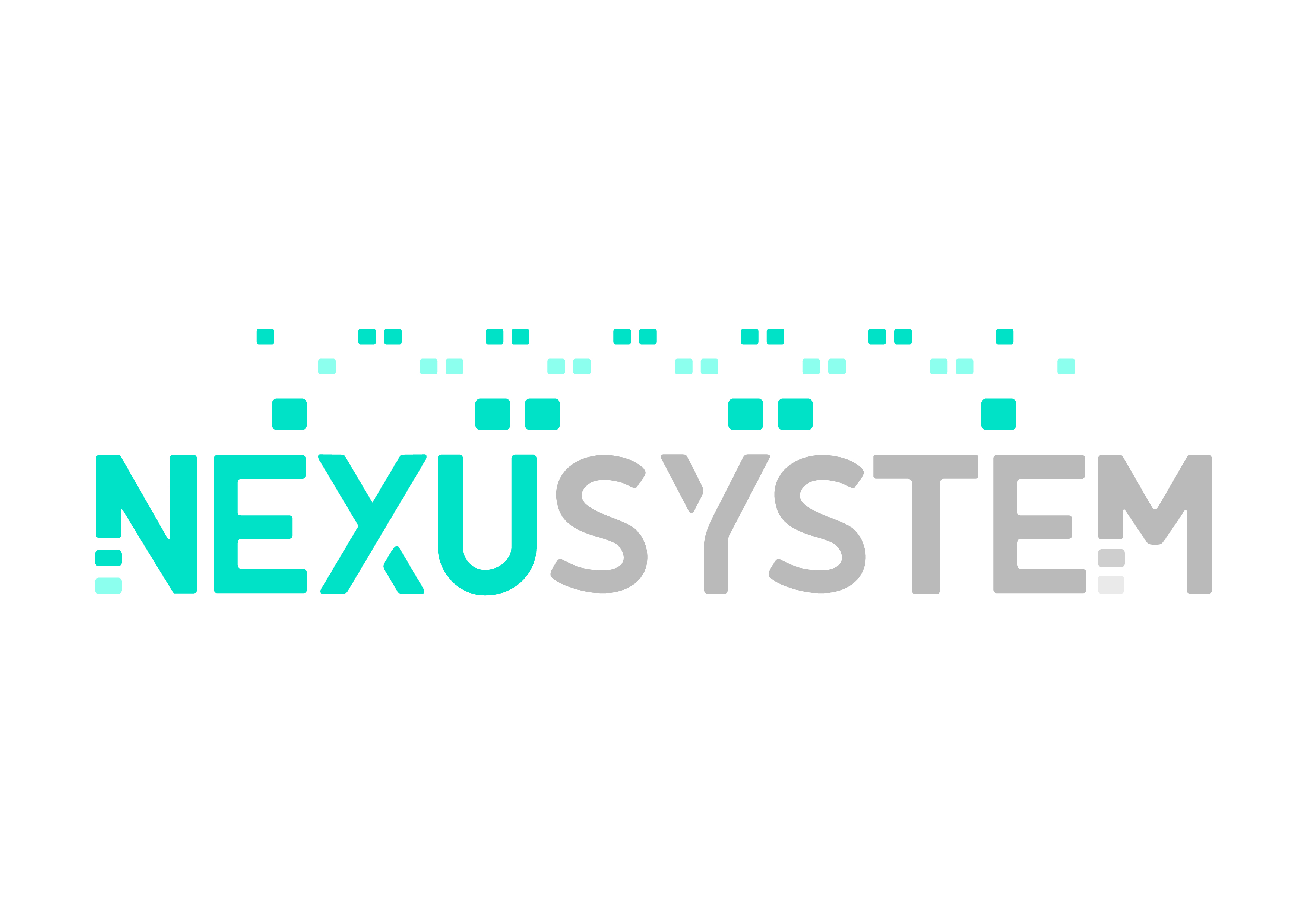 Logotipo NEXUSYSTEM