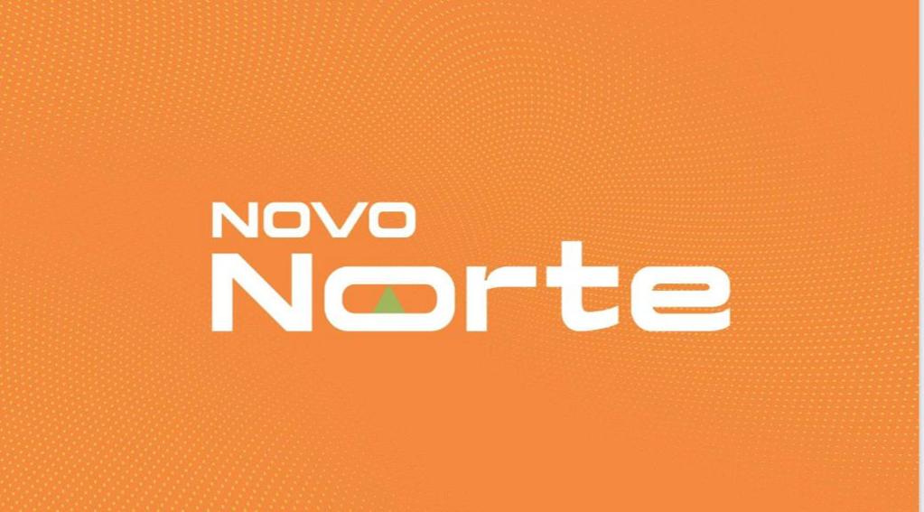 Logotipo NORTE SERVICOS DE CONSULTORIA EMPRESARIAL LTDA