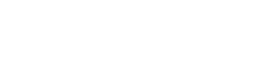 Logotipo SALTFIX TECNOLOGIA LTDA