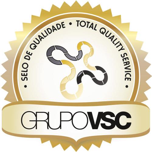 Logotipo VSC - TREINAMENTO DE ALTA PERFORMANCE LTDA