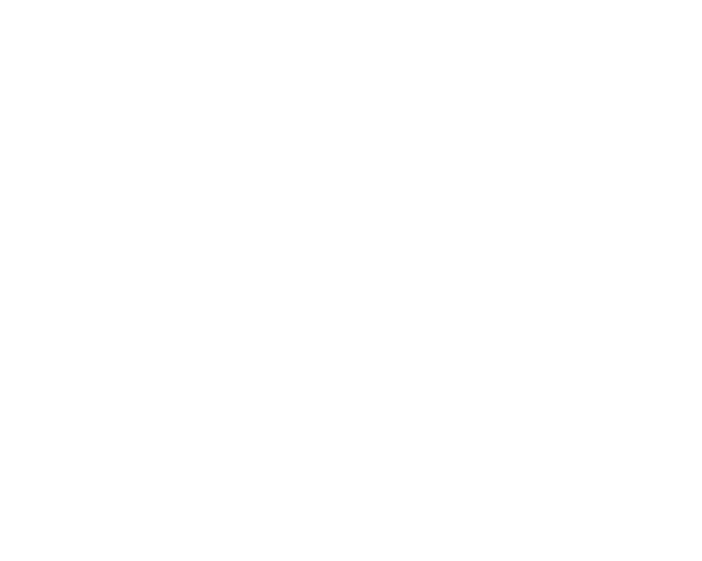Logotipo ZAPTZUM