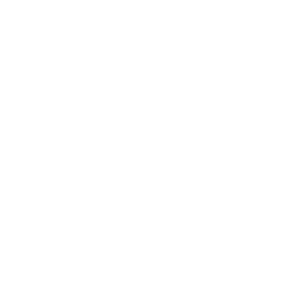 Logotipo INSTITUTO NORBERTO BOBBIO