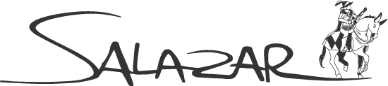 Logotipo SALAZAR GESTAO DE PROJETOS LTDA