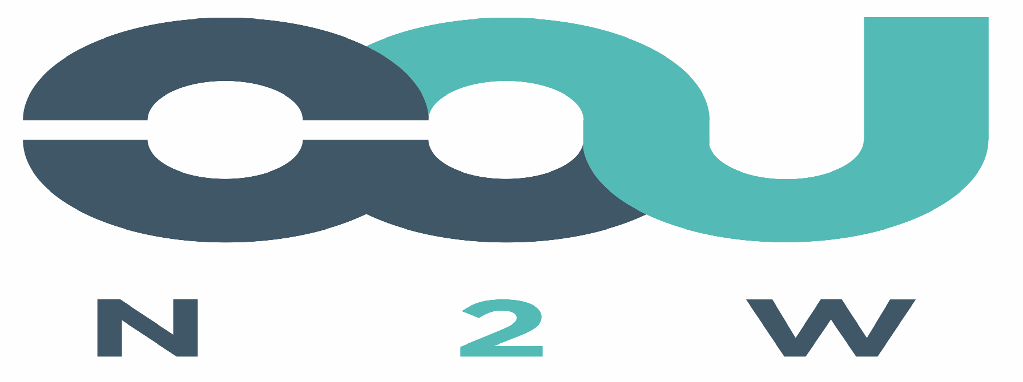 Logotipo N2W SOLUCOES EM TECNOLOGIA EMPRESARIAL LTDA