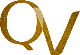 Logotipo QV BUSINESS SOLUTION