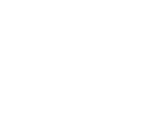 Logotipo INSTITUTO NORBERTO BOBBIO