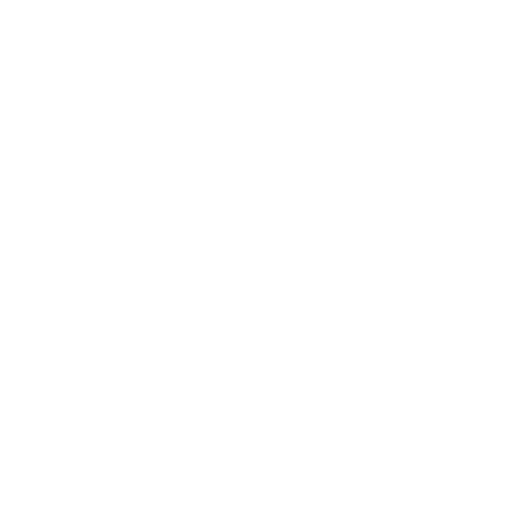 Logotipo ORGANIZE NA PRATICA TECNOLOGIA LTDA