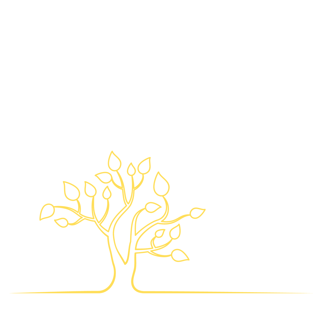Logotipo NOVA VIDA EDITORA E DESENVOLVIMENTO HUMANO LTDA
